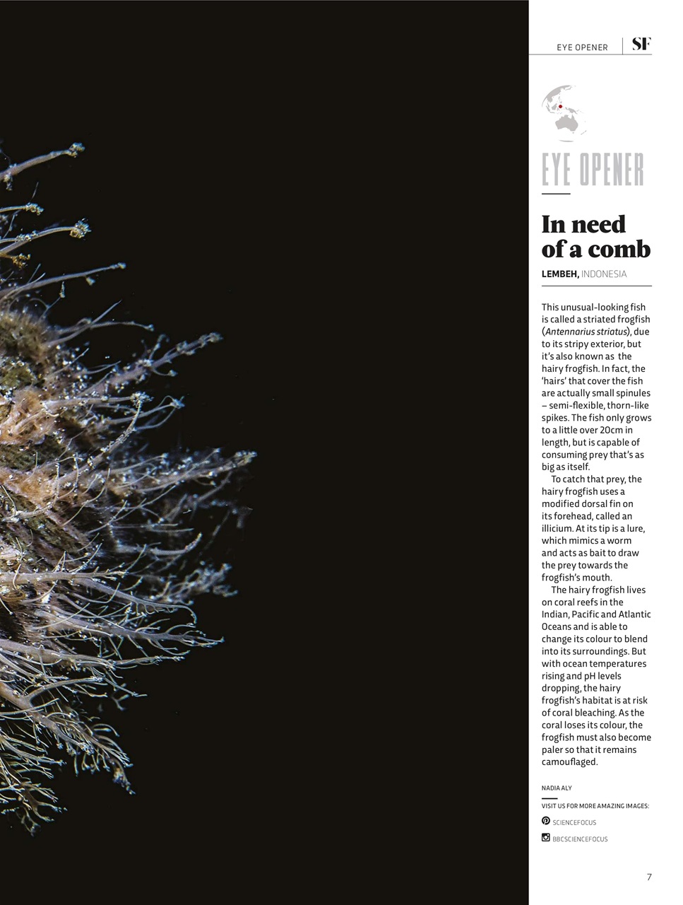 BBC Science Focus Magazine Preview Pages