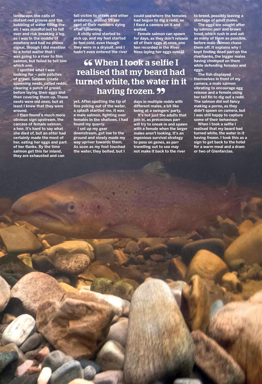 Anglers Mail Preview Pages
