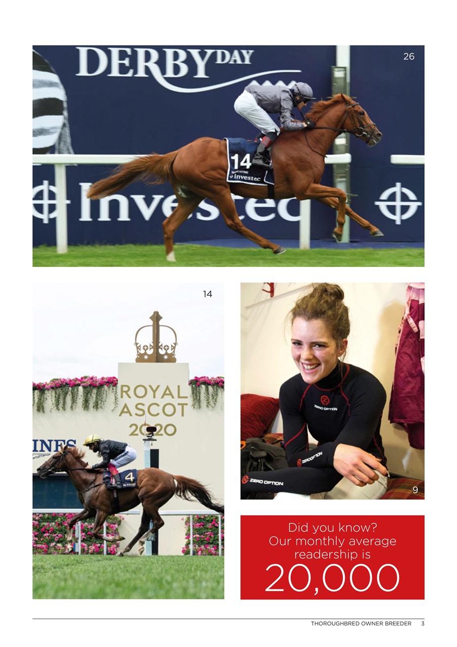The Owner Breeder Preview Pages