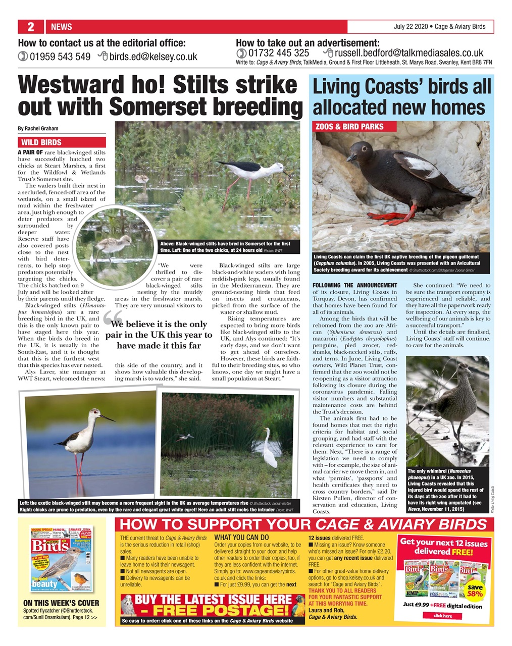 Cage & Aviary Birds Preview Pages