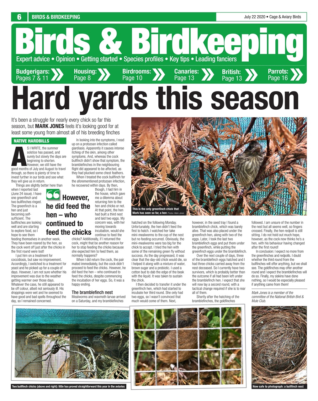 Cage & Aviary Birds Preview Pages