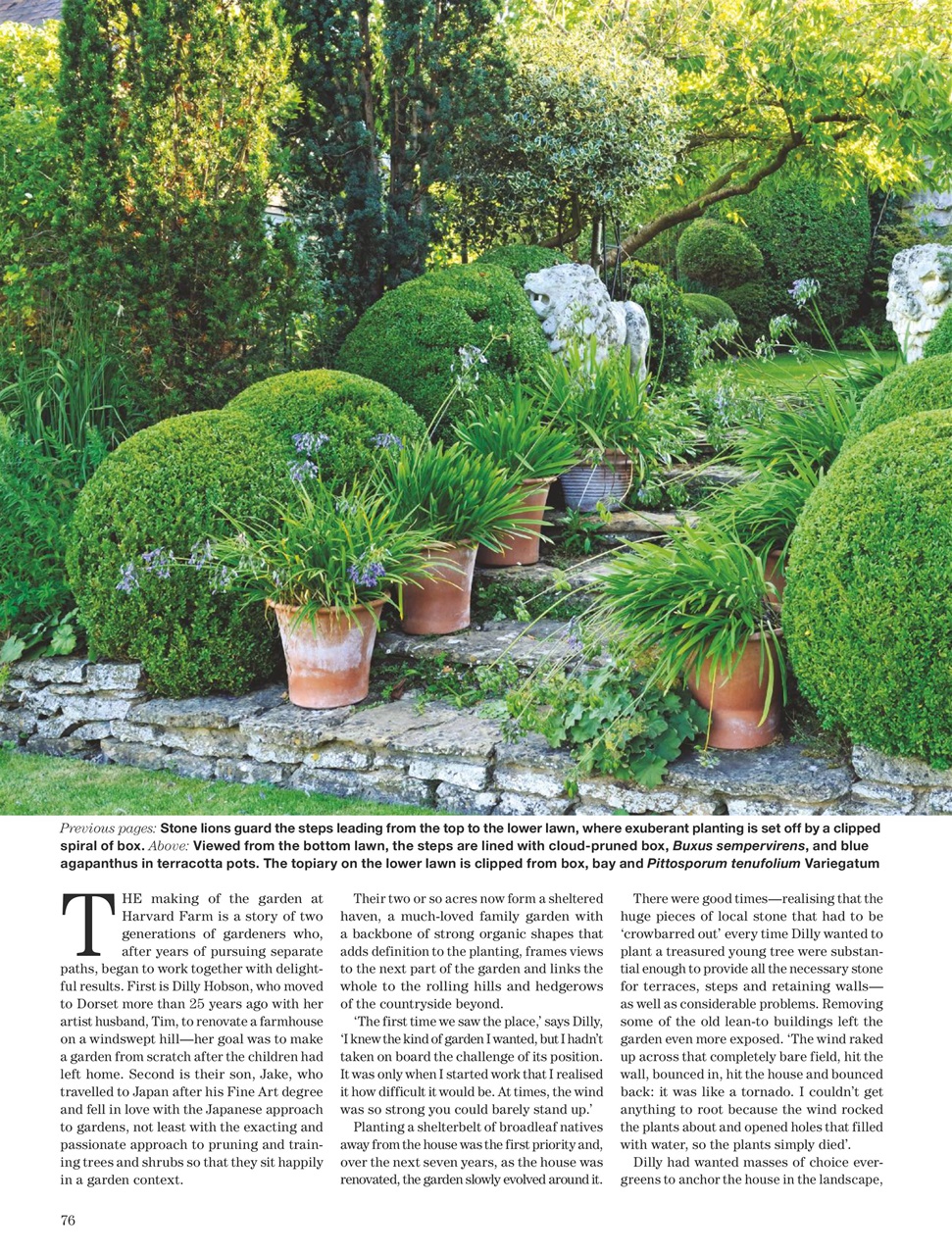 Country Life Preview Pages