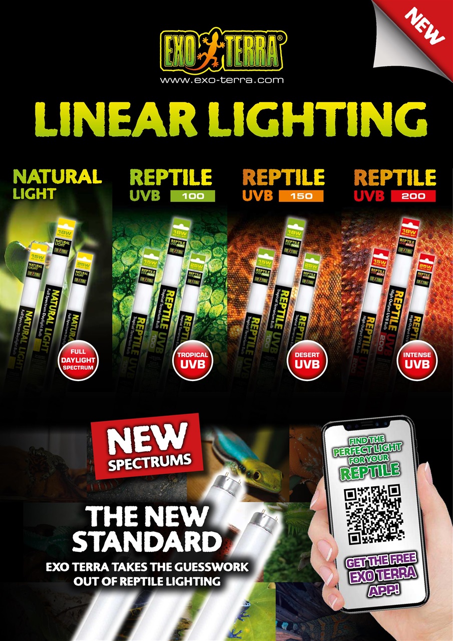 Practical Reptile Keeping Preview Pages