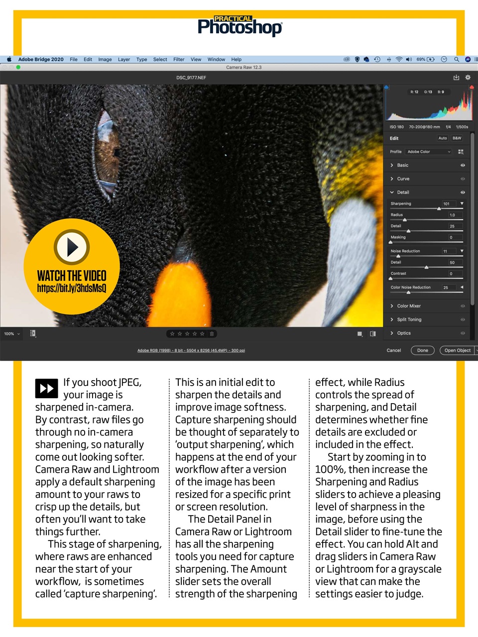 Practical Photoshop Preview Pages
