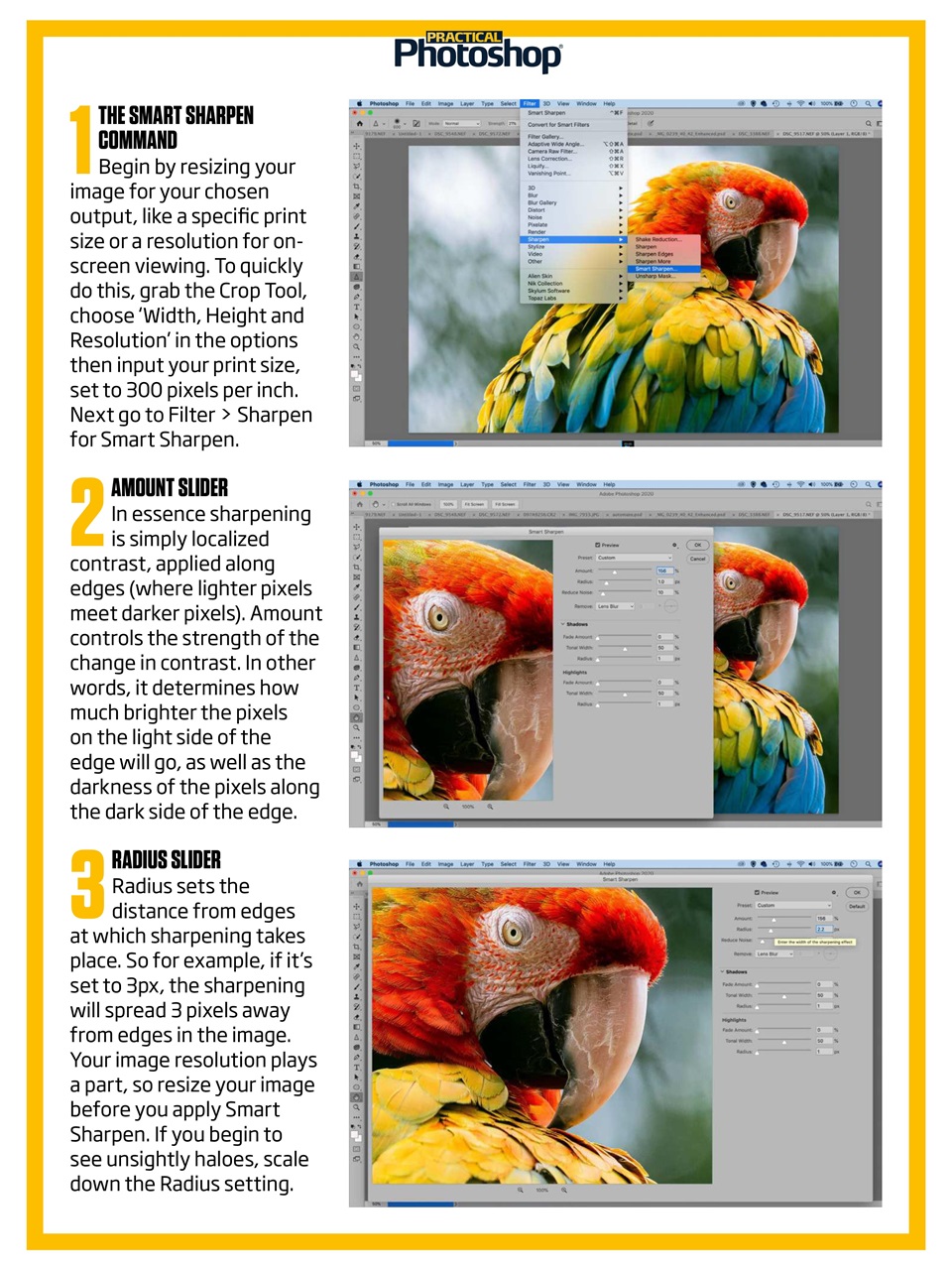 Practical Photoshop Preview Pages