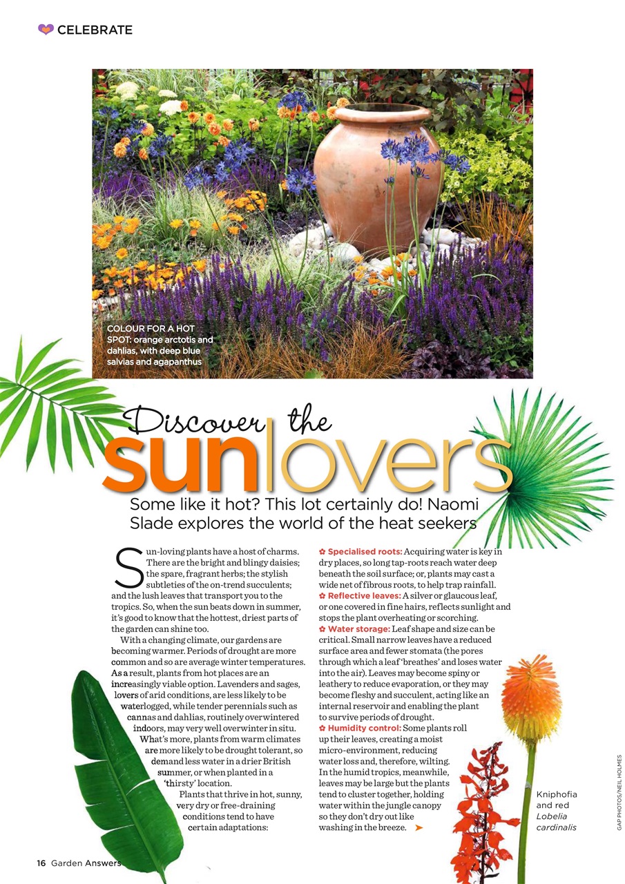 Garden Answers Preview Pages
