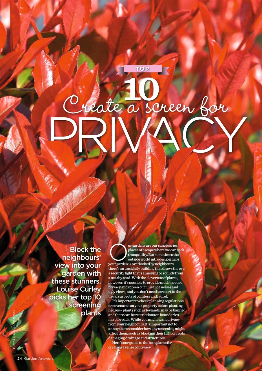 Garden Answers Preview Pages