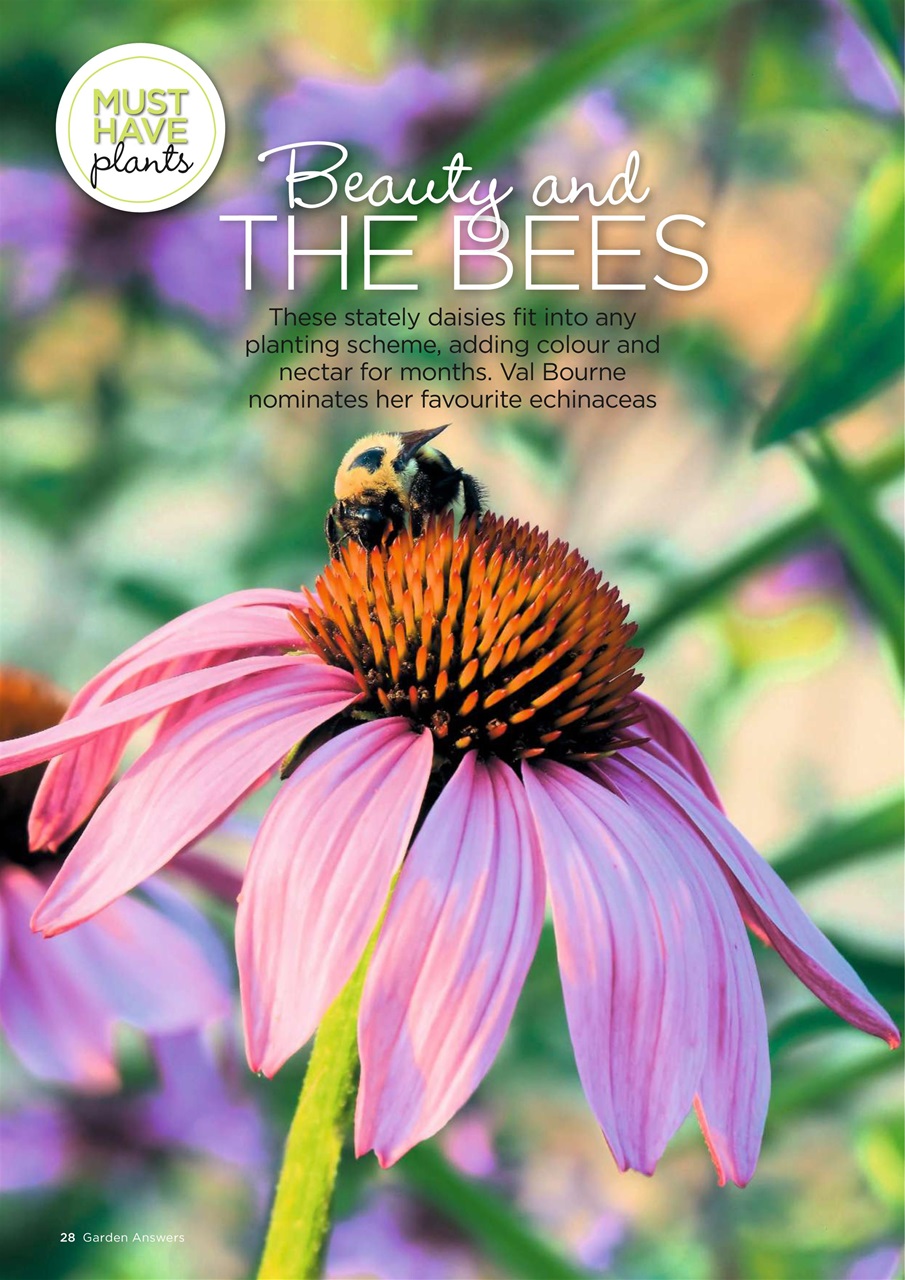 Garden Answers Preview Pages