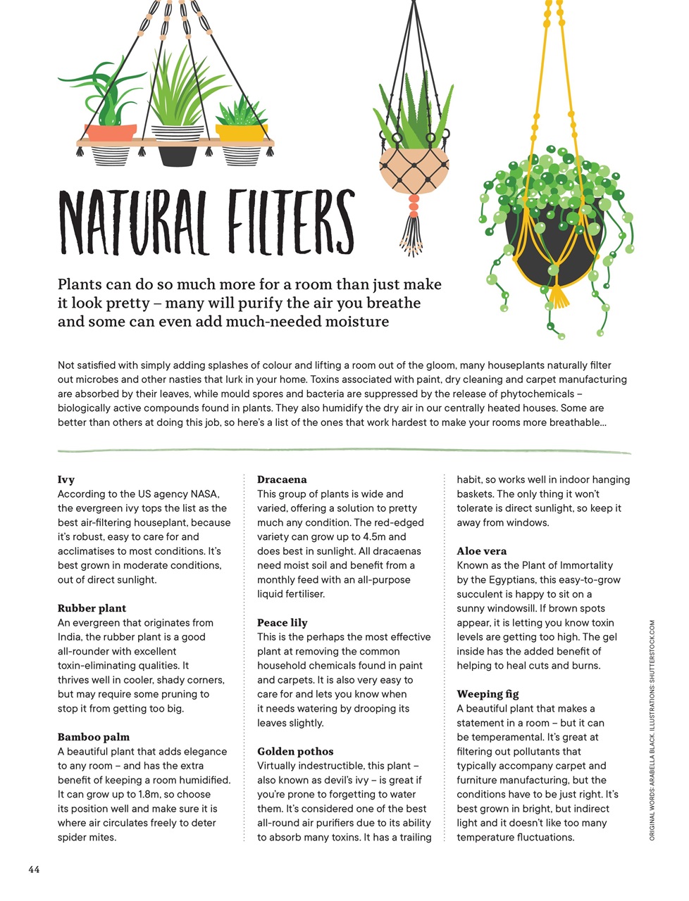 Teen Breathe Preview Pages