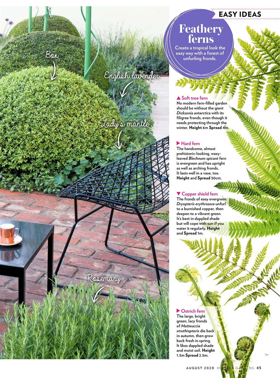 Modern Gardens Preview Pages