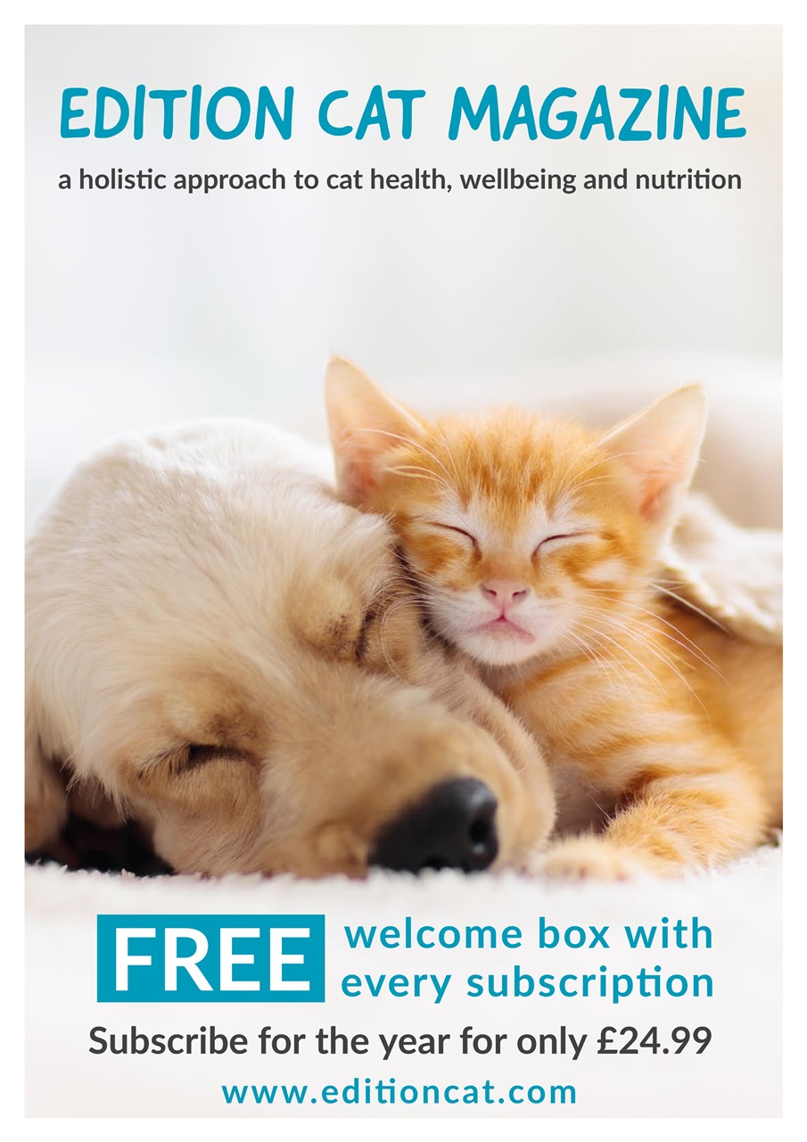 Edition Dog Preview Pages