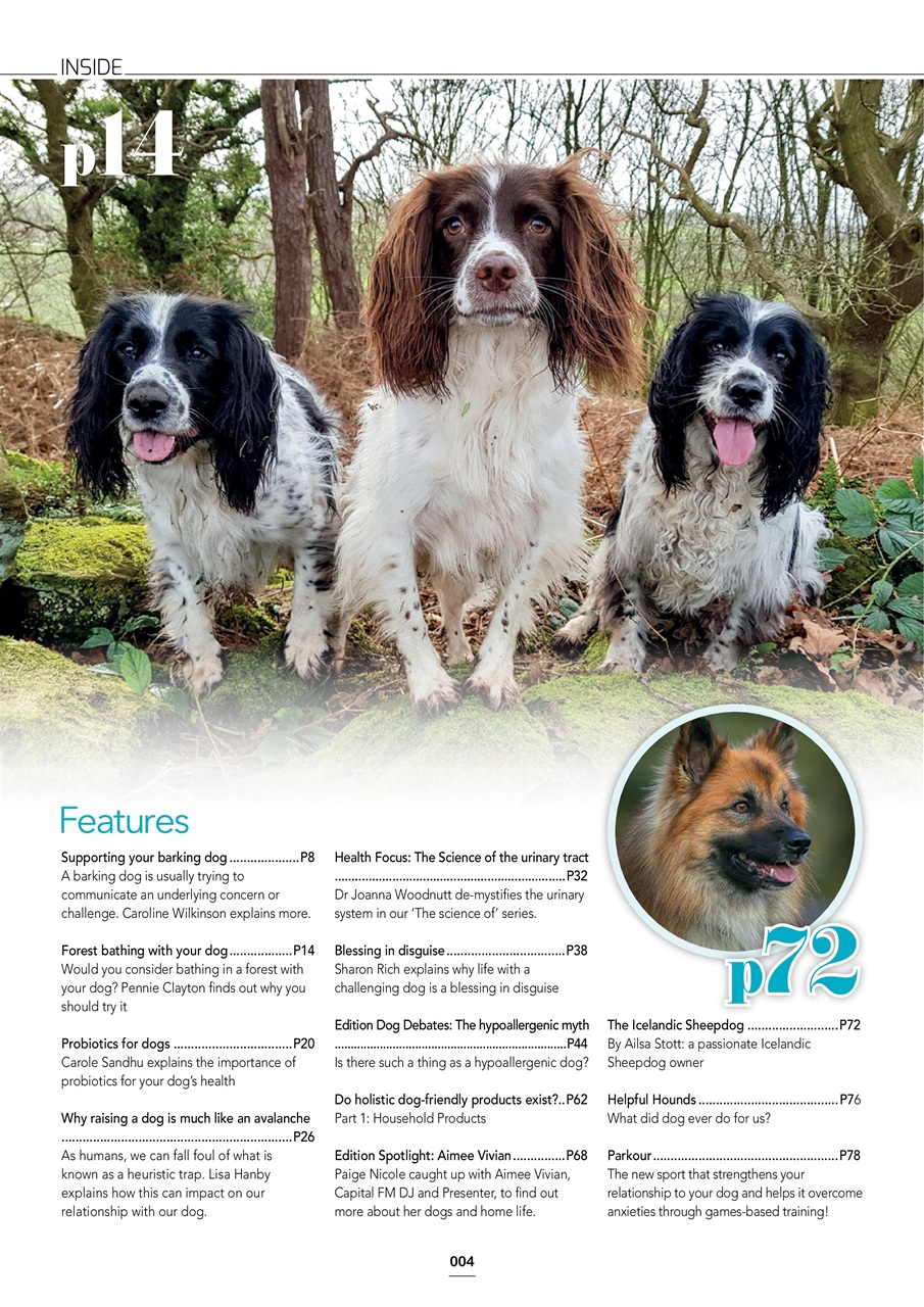 Edition Dog Preview Pages