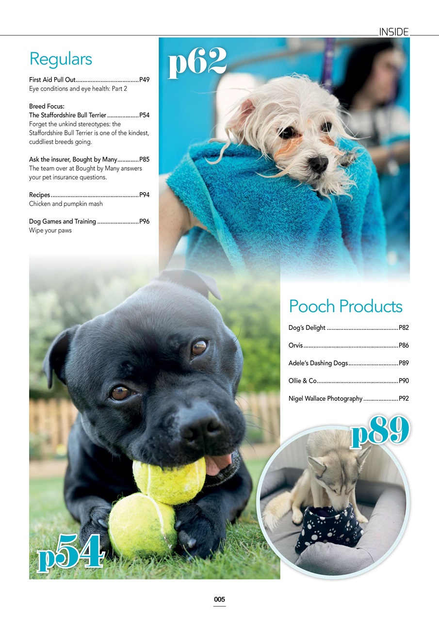 Edition Dog Preview Pages