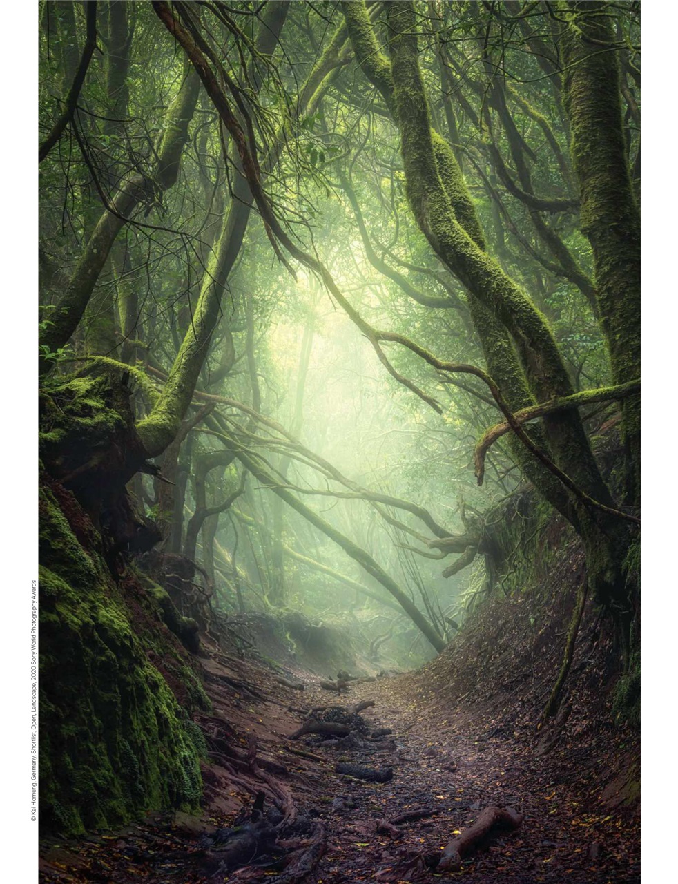 Outdoor Photography Preview Pages