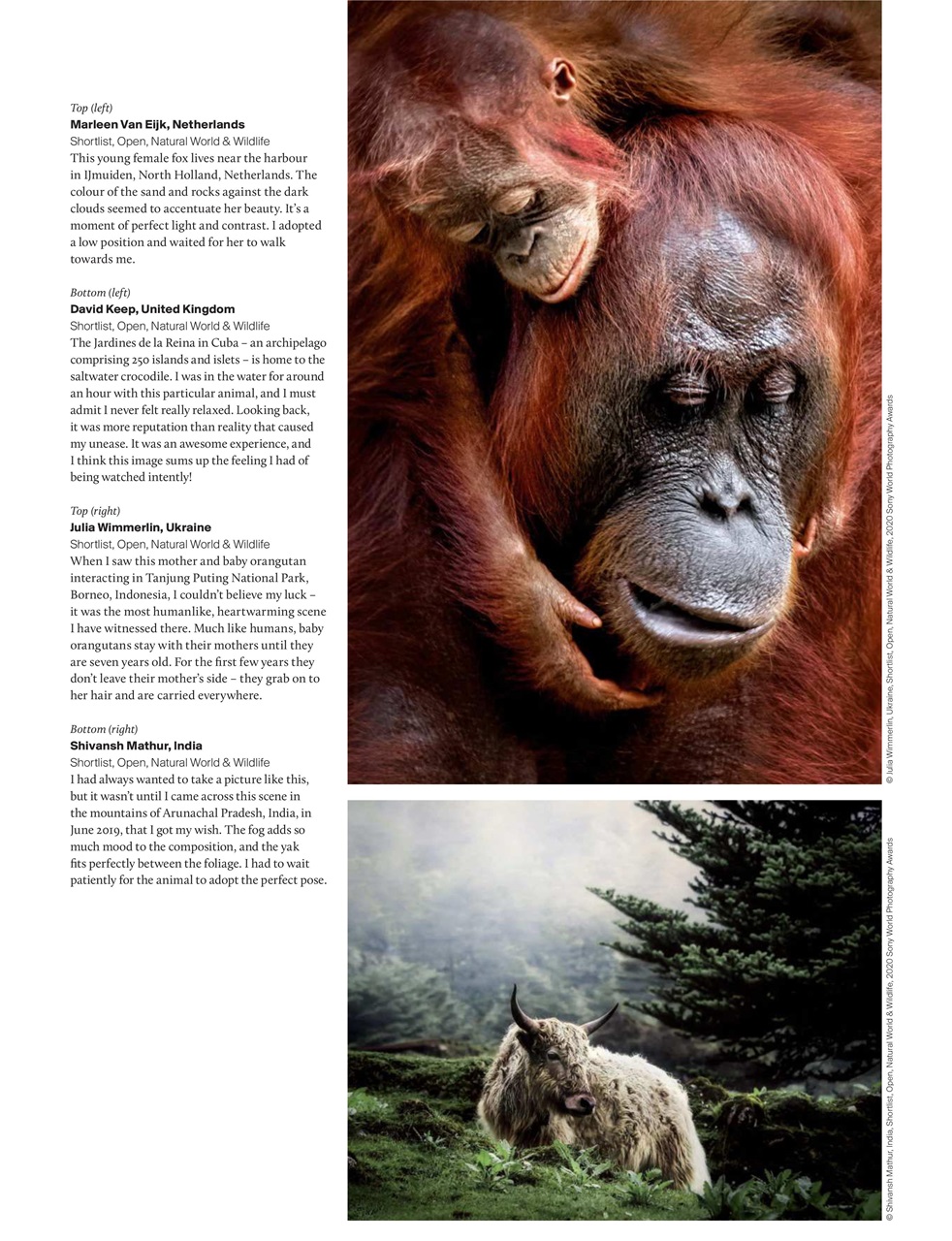 Outdoor Photography Preview Pages