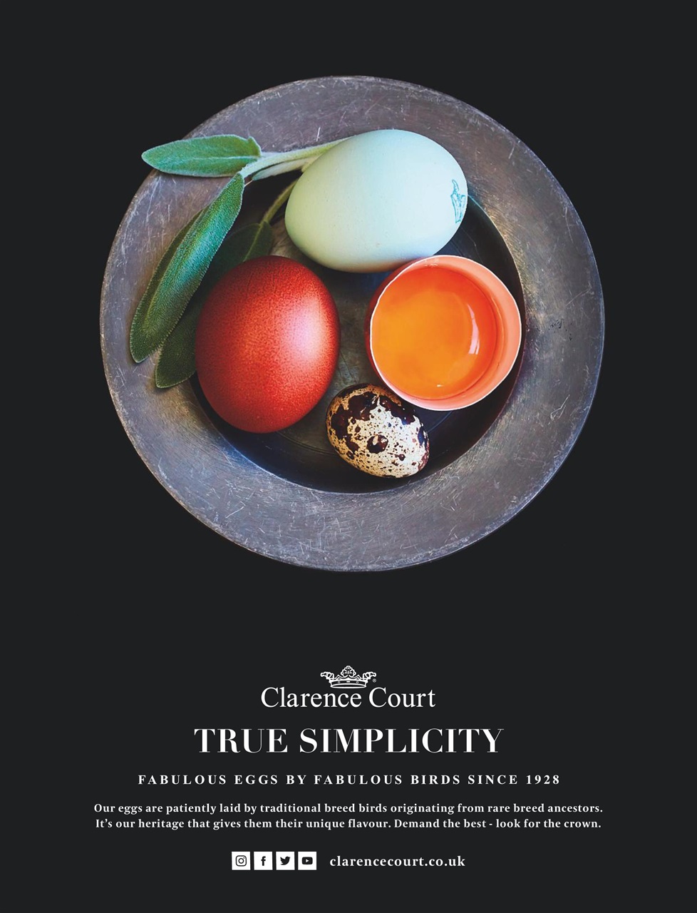 Easy Cook Magazine Preview Pages