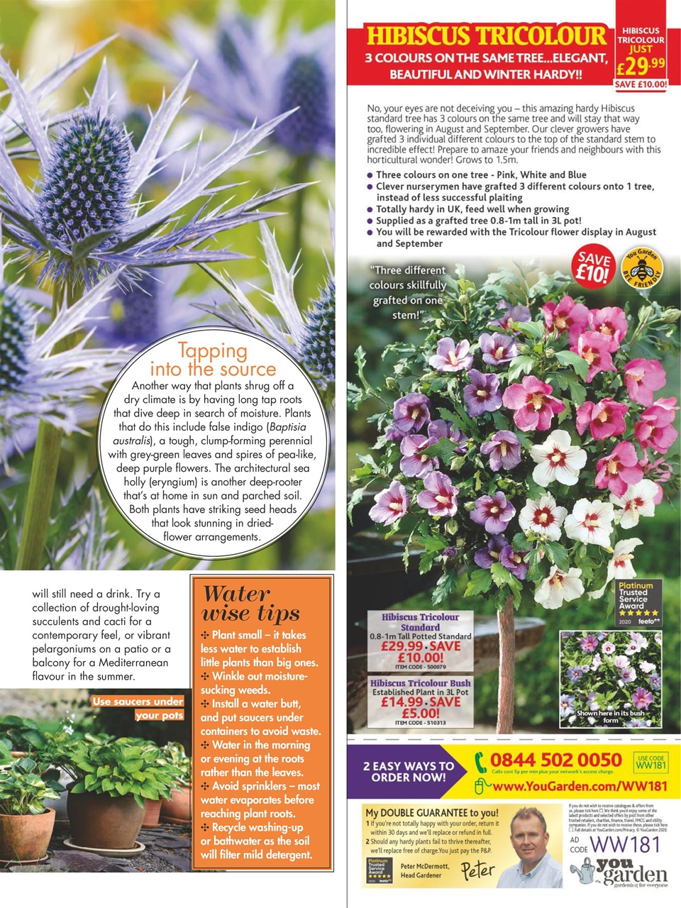 Woman's Weekly Preview Pages