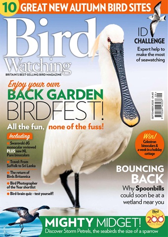Bird Watching issue Sep 20
