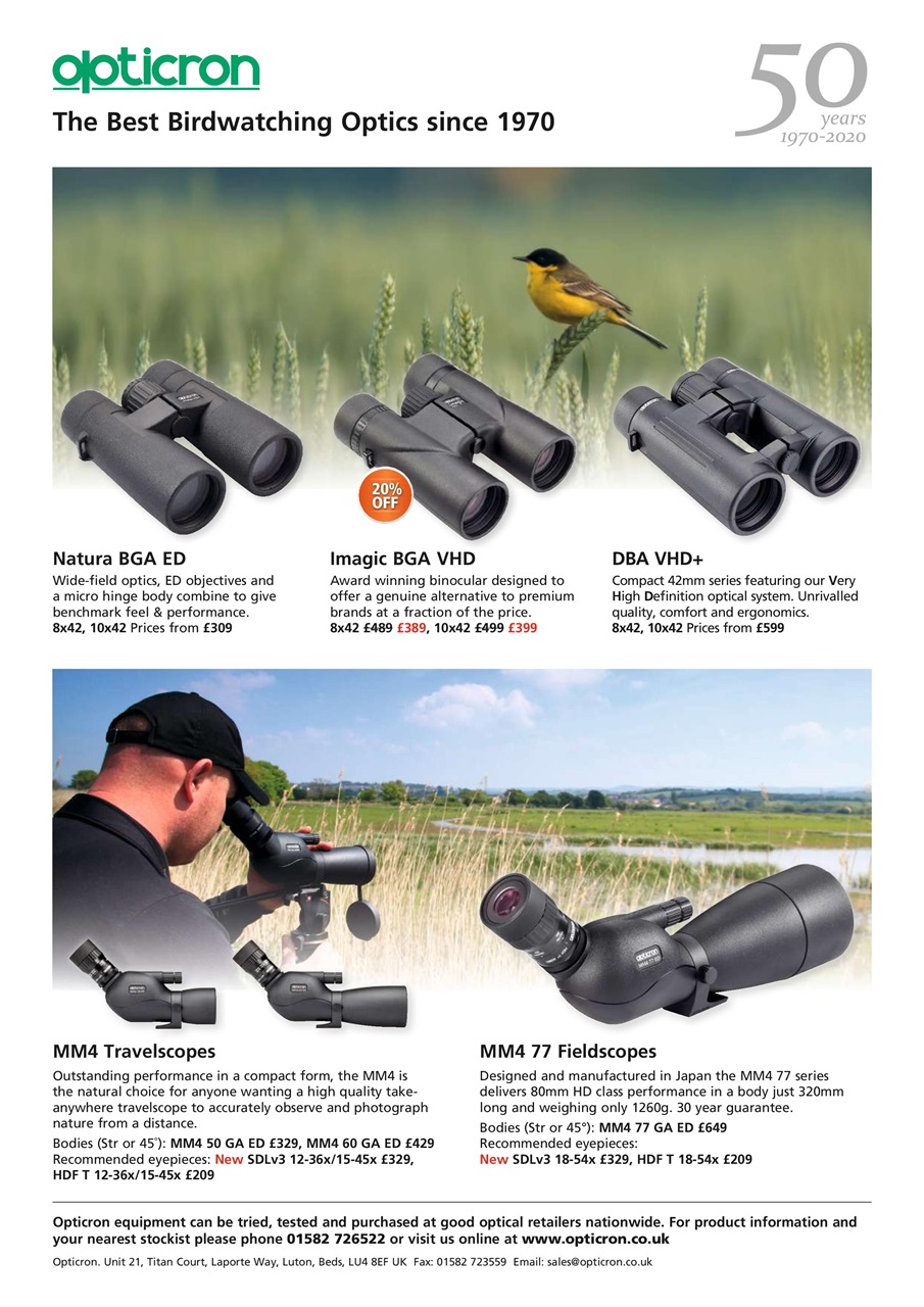 Bird Watching Preview Pages