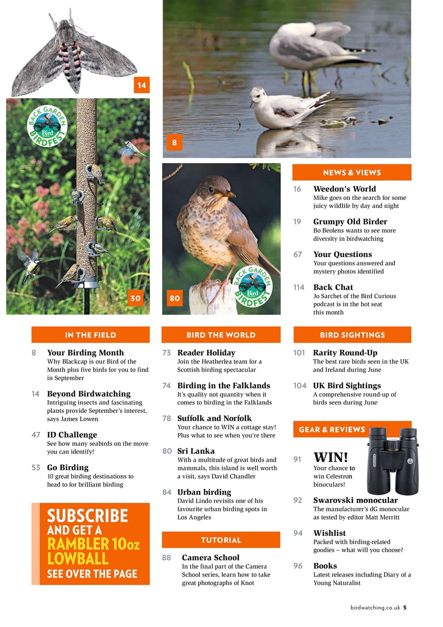 Bird Watching Preview Pages