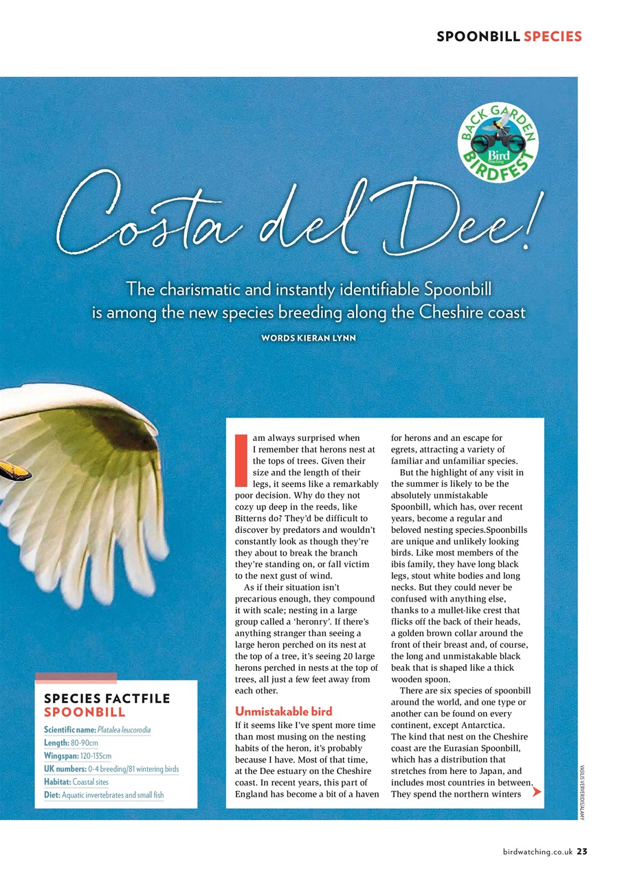 Bird Watching Preview Pages