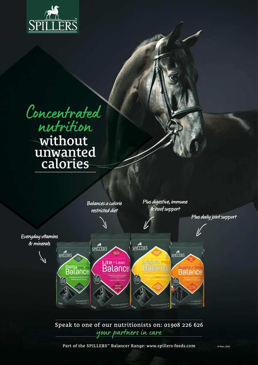 Your Horse Preview Pages
