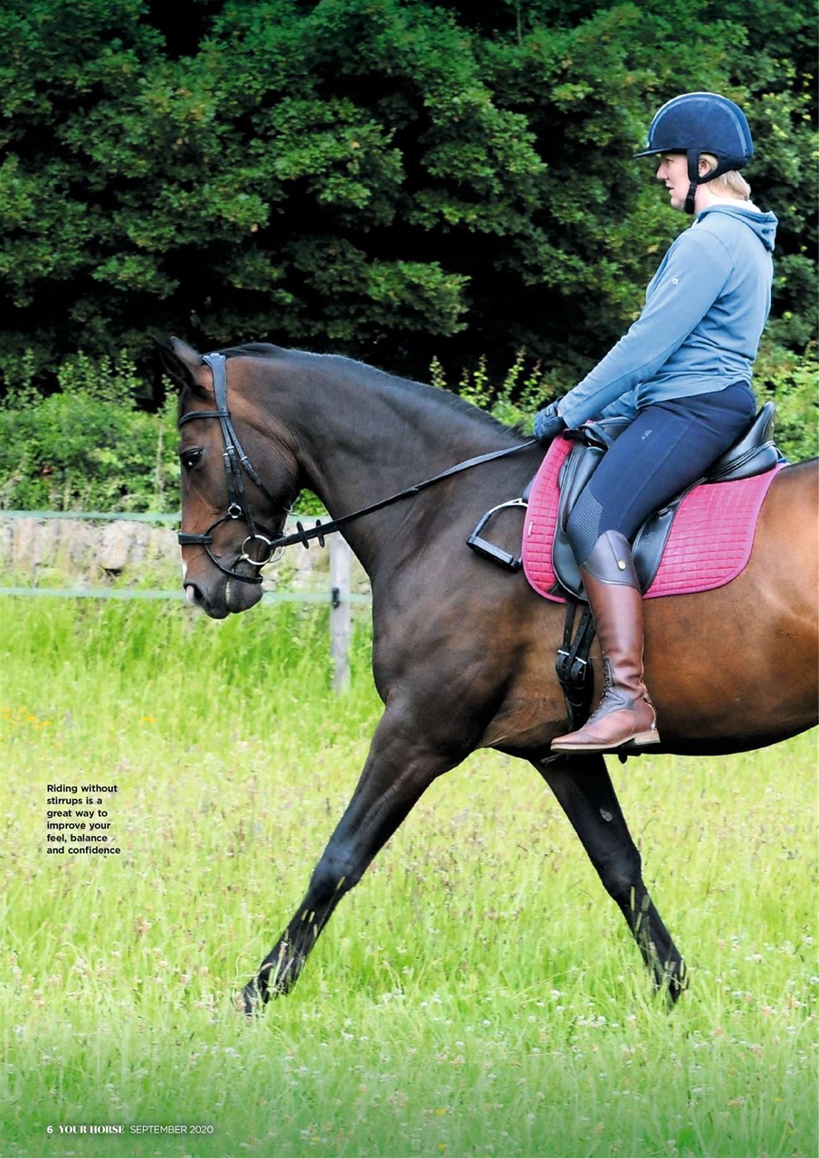 Your Horse Preview Pages