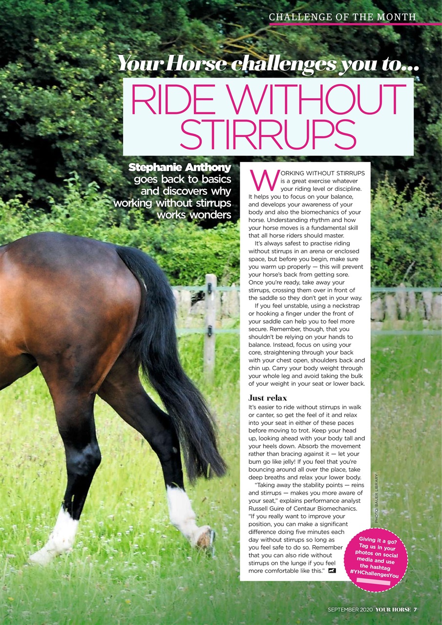 Your Horse Preview Pages