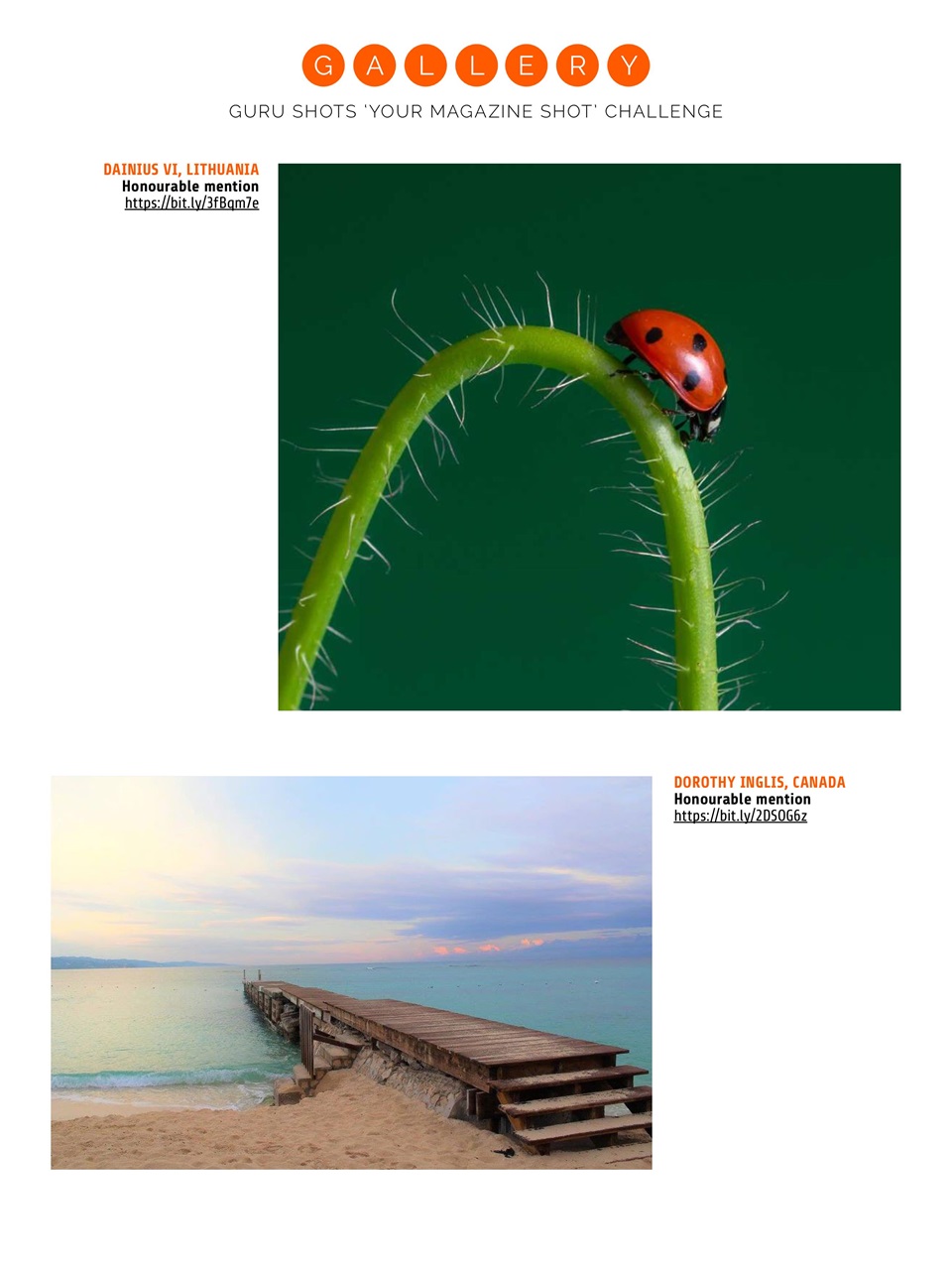Photography Week Preview Pages