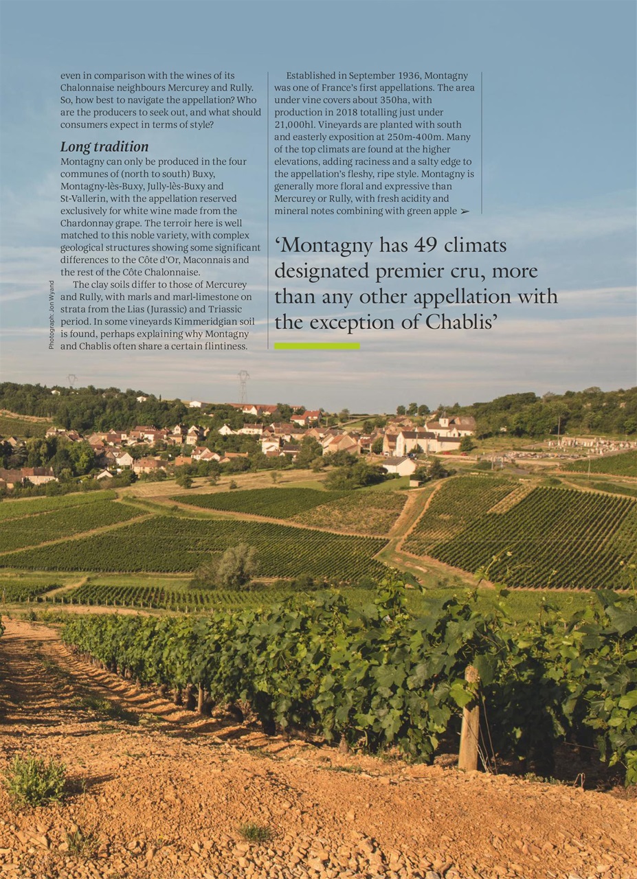 Decanter Preview Pages