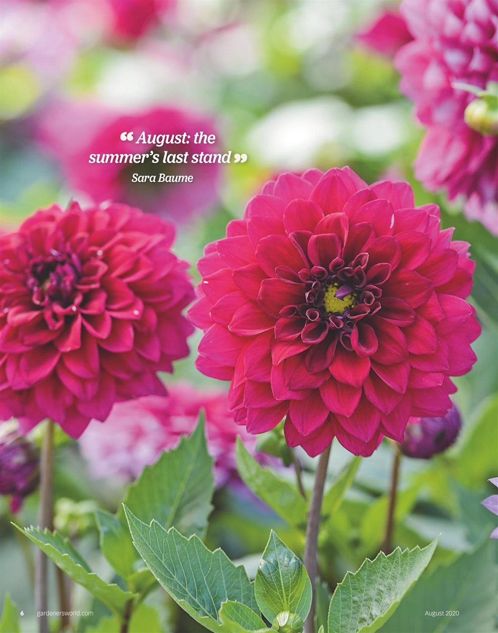 BBC Gardeners’ World Magazine Preview Pages