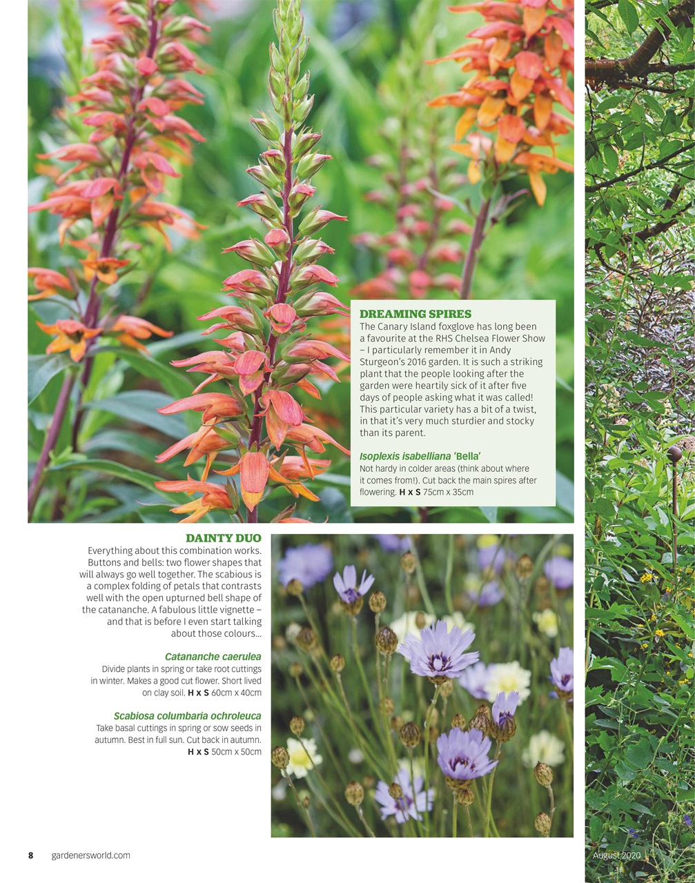 BBC Gardeners’ World Magazine Preview Pages