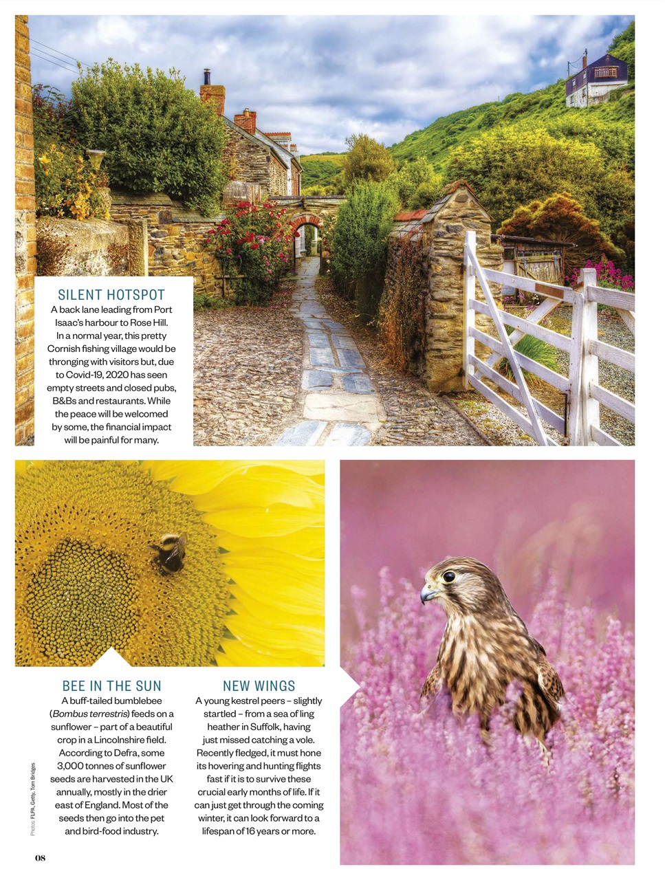 BBC Countryfile Magazine Preview Pages