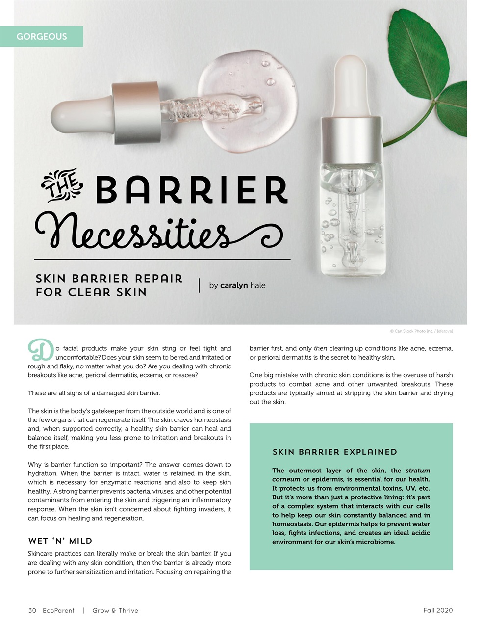 Ecoparent Magazine Preview Pages