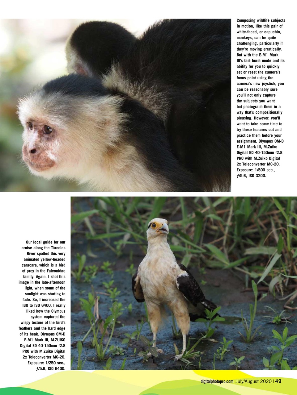 Digital Photo Pro Preview Pages