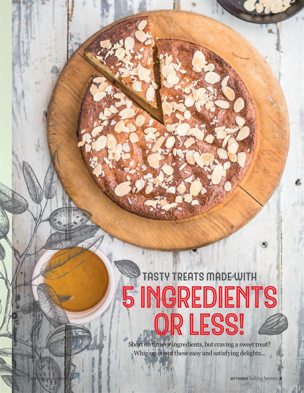 Bake & Decorate Preview Pages