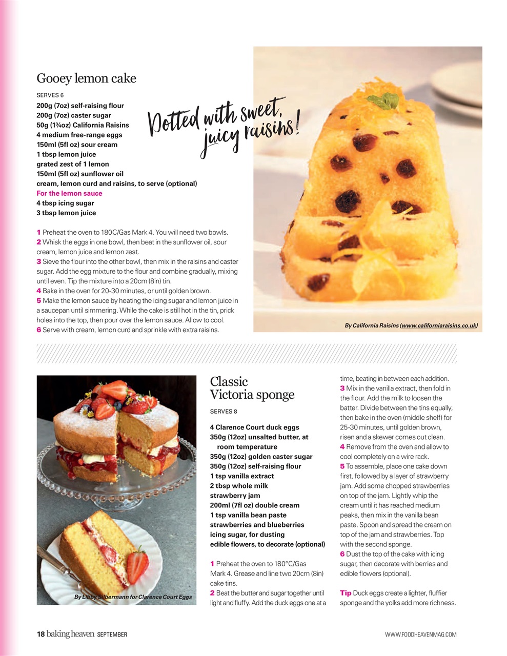 Bake & Decorate Preview Pages