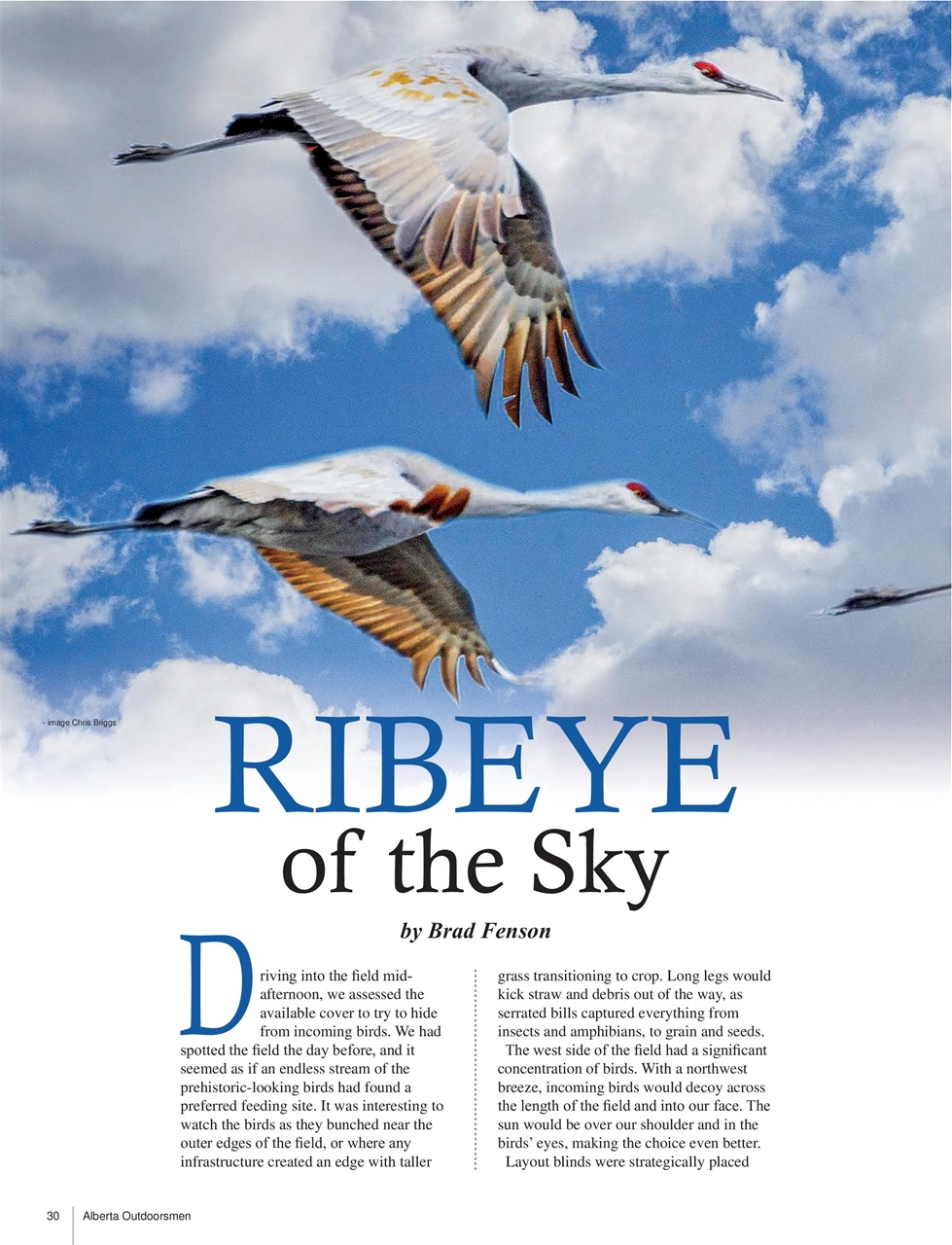 Alberta Outdoors Preview Pages