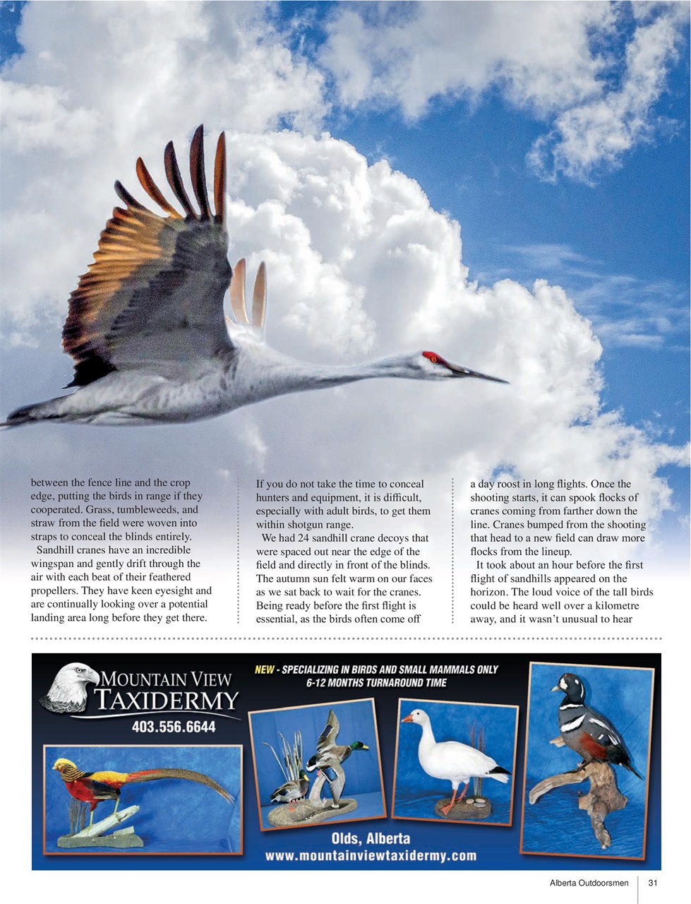 Alberta Outdoors Preview Pages