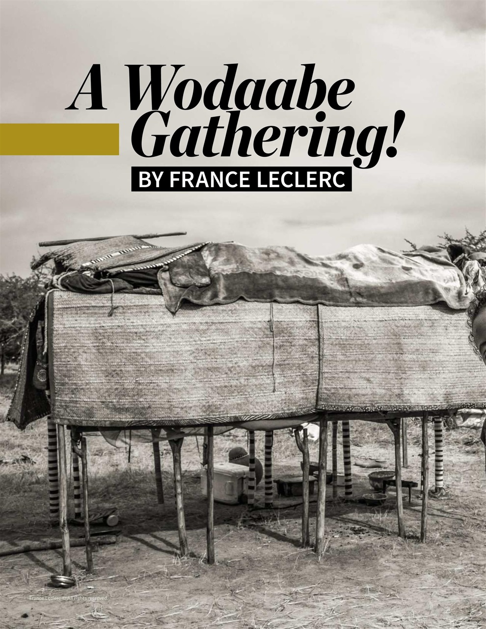 Lens Magazine Preview Pages