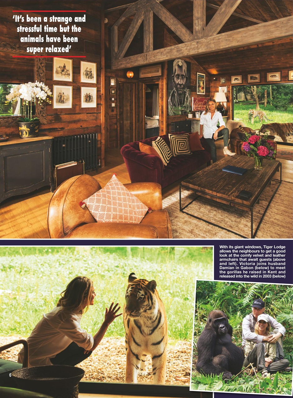 Hello! Magazine Preview Pages