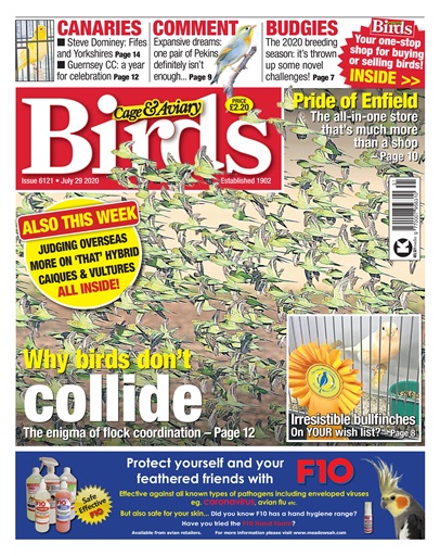 Cage & Aviary Birds issue 