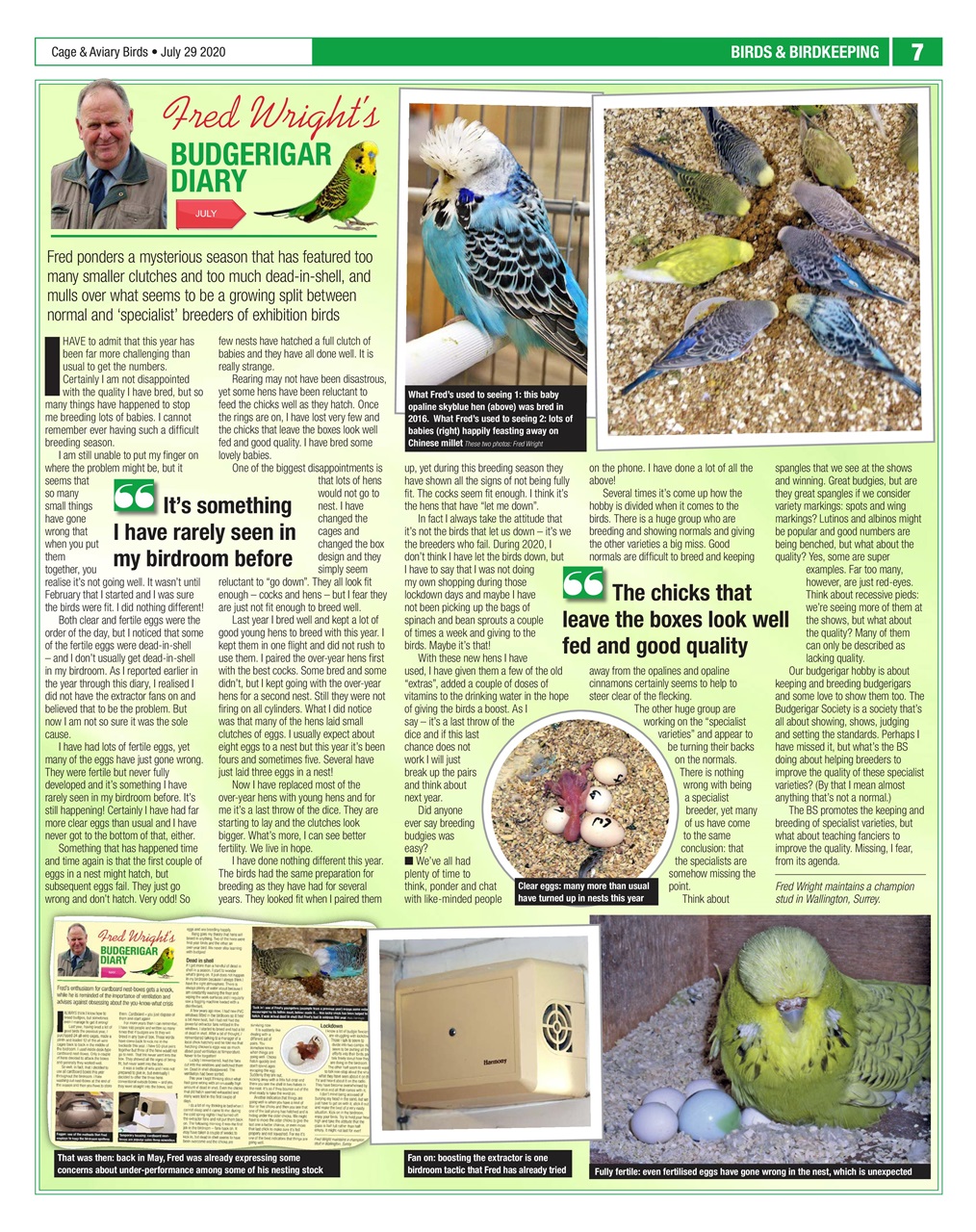 Cage & Aviary Birds Preview Pages