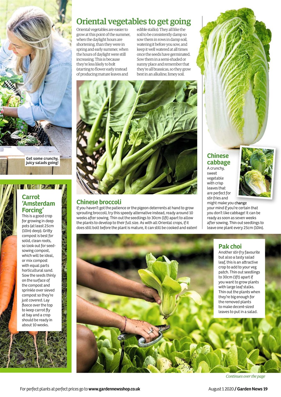 Garden News Preview Pages
