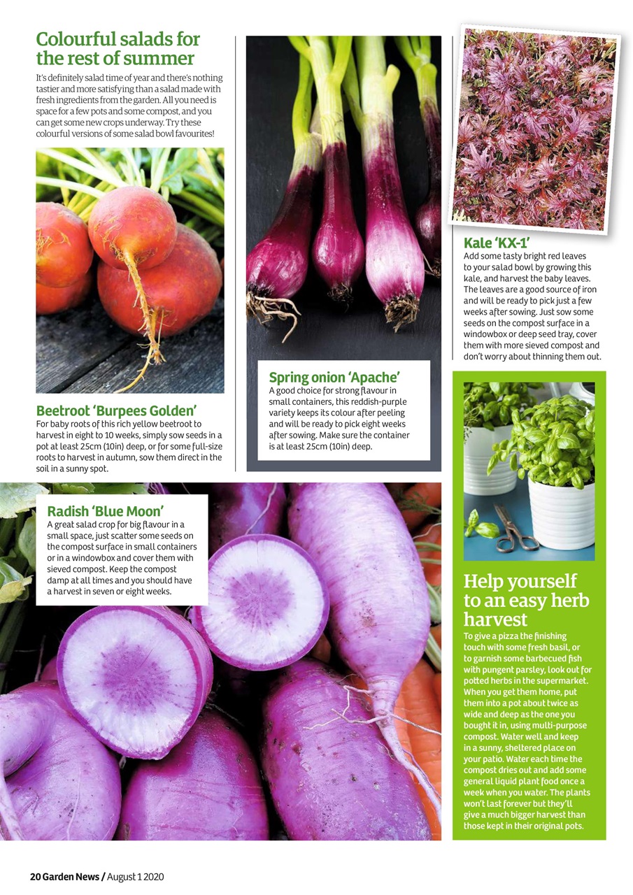 Garden News Preview Pages