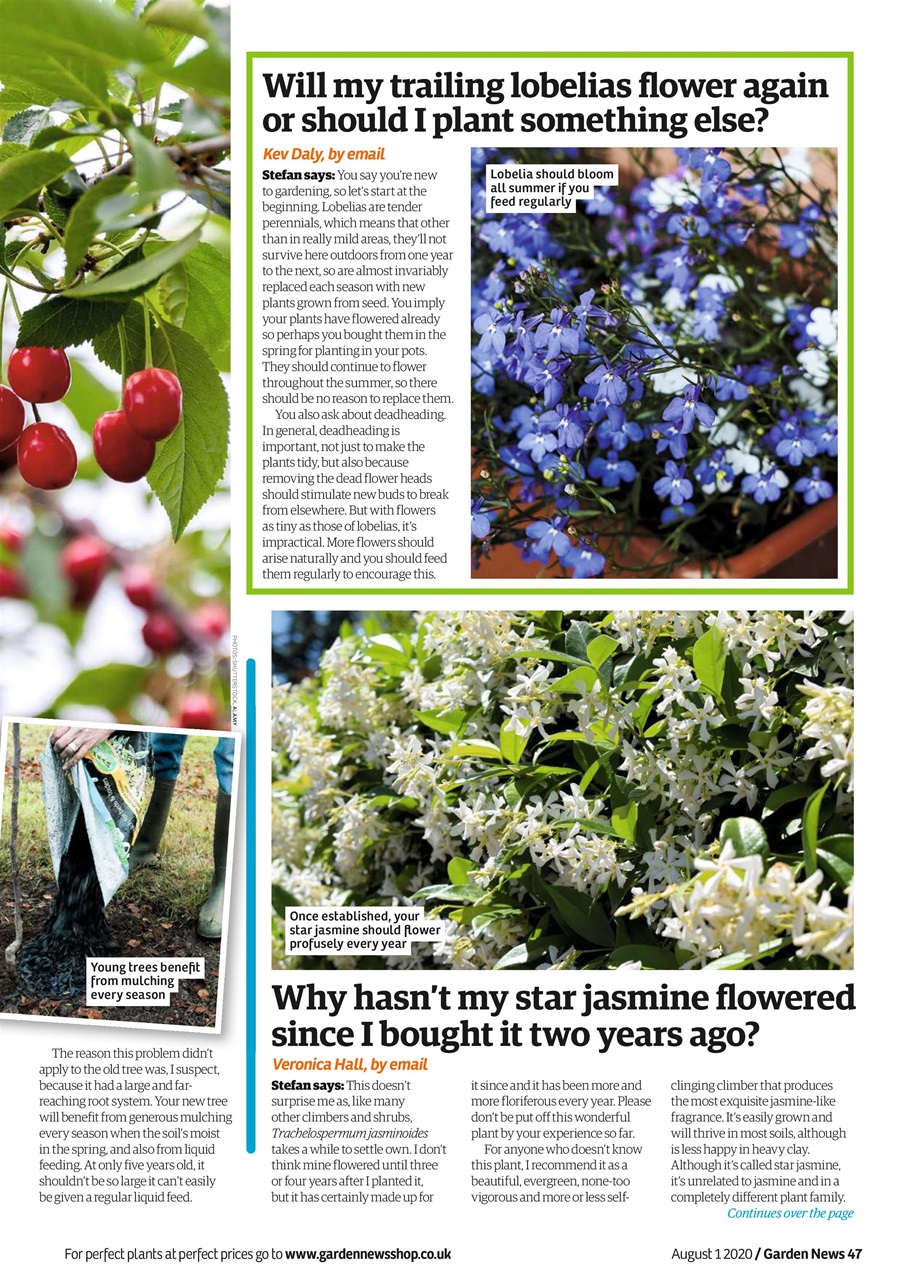 Garden News Preview Pages