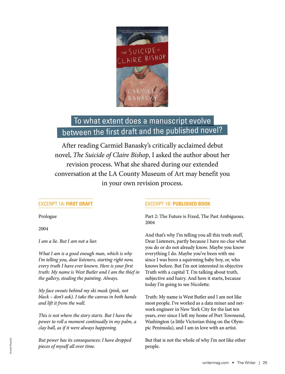 The Writer Preview Pages