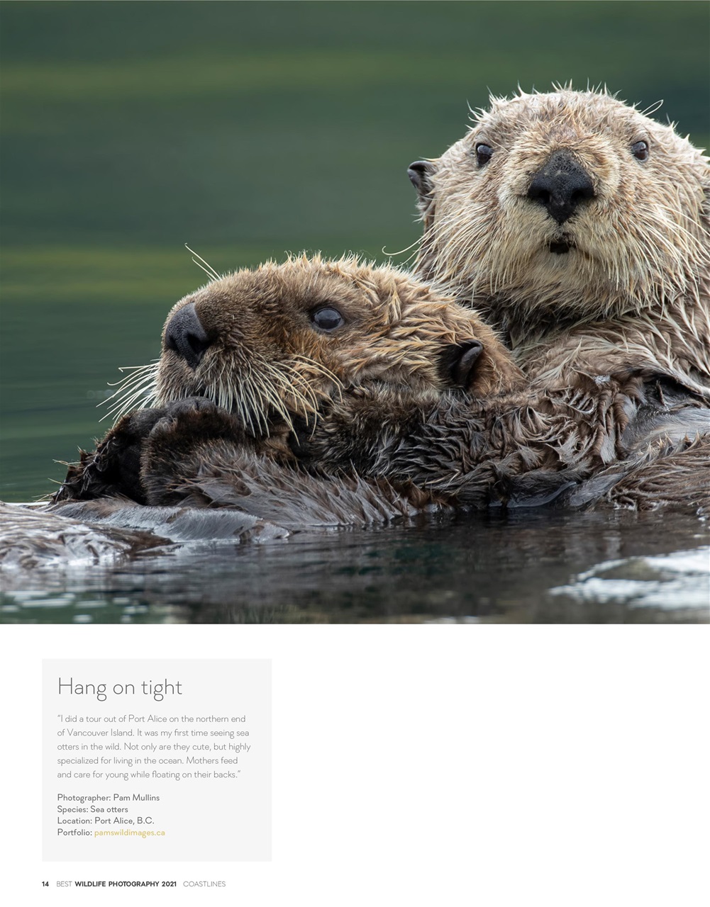 Canadian Geographic Preview Pages