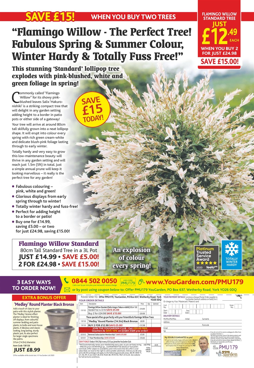 Pick Me Up Preview Pages