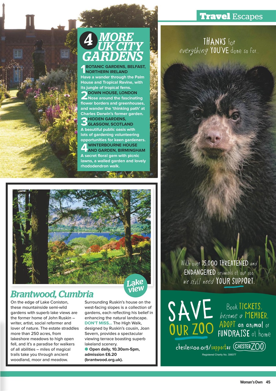 Woman's Own Preview Pages